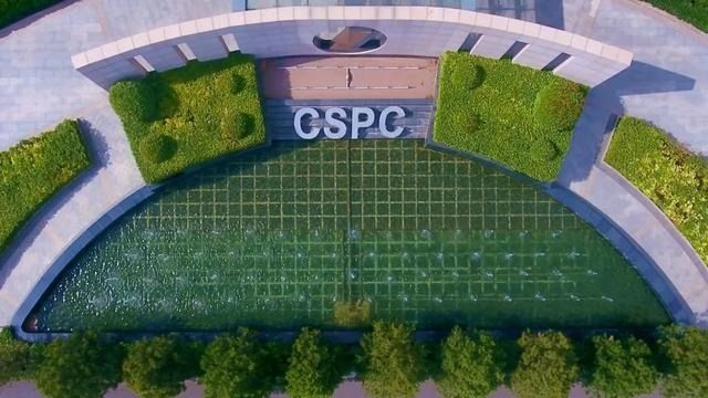 2019年中国医院用药市场 石药集团跻身前十！