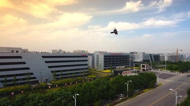 2019年中国医院用药市场 石药集团跻身前十！